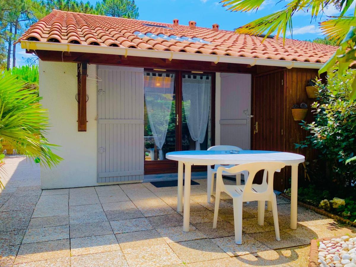 « la Palmeraie » Residentielle Avec Piscine *
