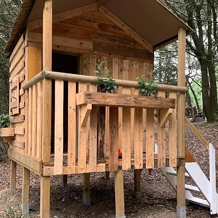  La Palmeraie   Villa résidentielle avec piscine La Palmyre Extérieur photo